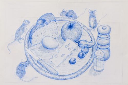 Graphite and pastel studies laid out across a drawing board.