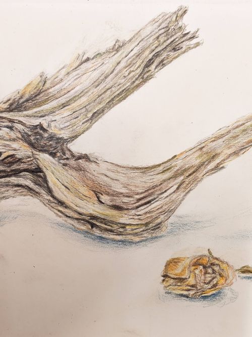 A student drawing with charcoal at a studio worktable